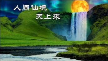 花语月