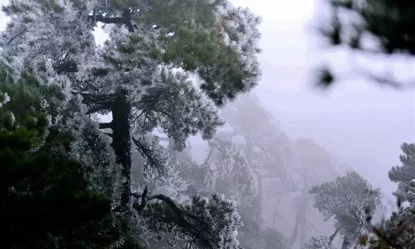 旋转轮胎