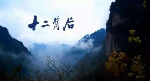 月光影视