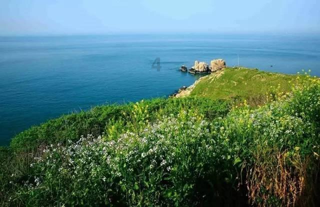 一顿浪漫晚餐