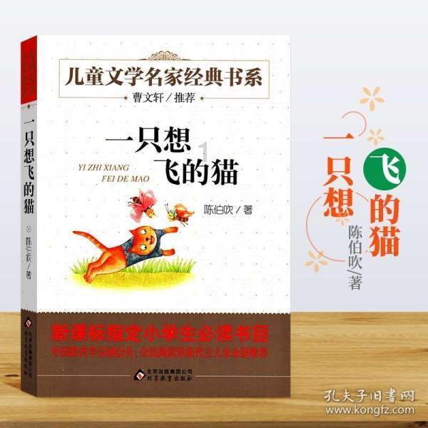 福特游骑侠，以硬核实力书写达喀尔的壮丽篇章