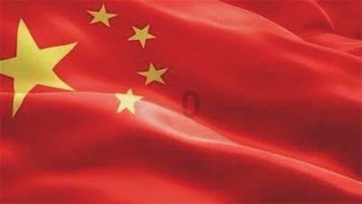 寻找萌宠松鼠