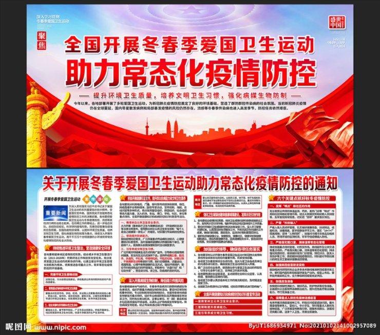 可爱小猫向上跳
