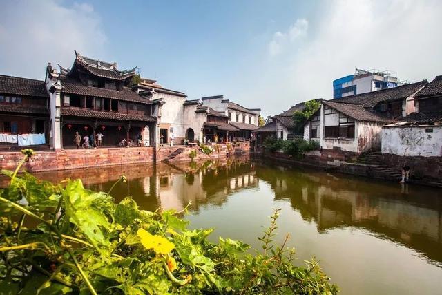 米乐米可森林大冒险
