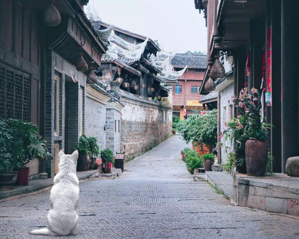 跑者回乡指南|内有福利