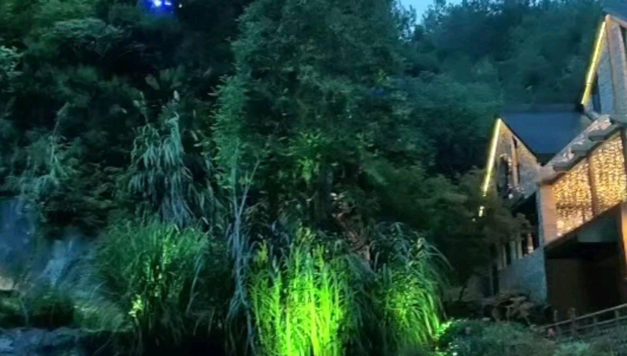 救援中世纪女王